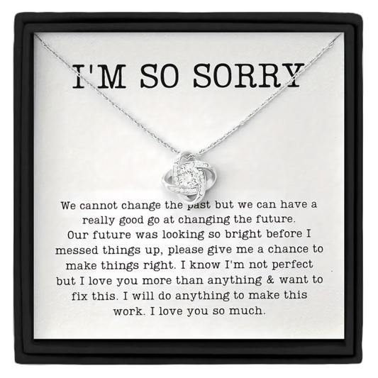 I’m Sorry Gift Necklace Gift Apology Gift